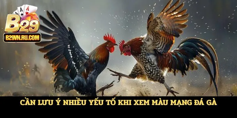 Cần lưu ý nhiều yếu tố khi xem màu mạng đá gà