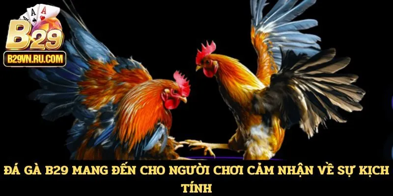 Đá gà B29 mang đến cho người chơi cảm nhận về sự kịch tính