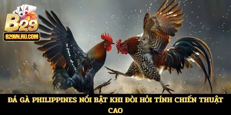 Đá gà Philippines nổi bật khi đòi hỏi tính chiến thuật cao