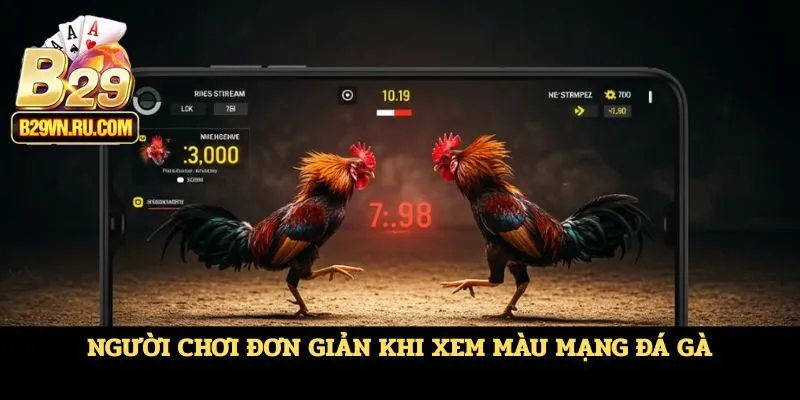 Người chơi đơn giản khi xem màu mạng đá gà