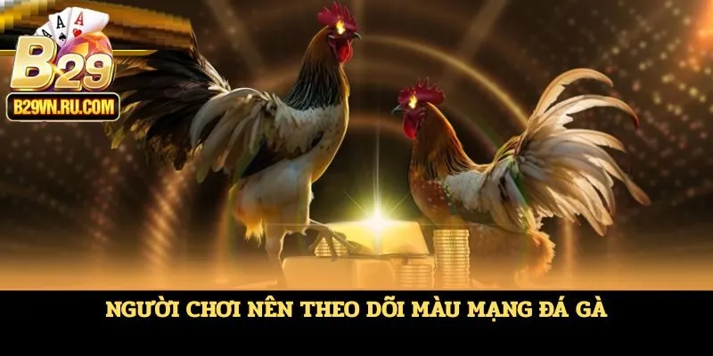Người chơi nên theo dõi màu mạng đá gà