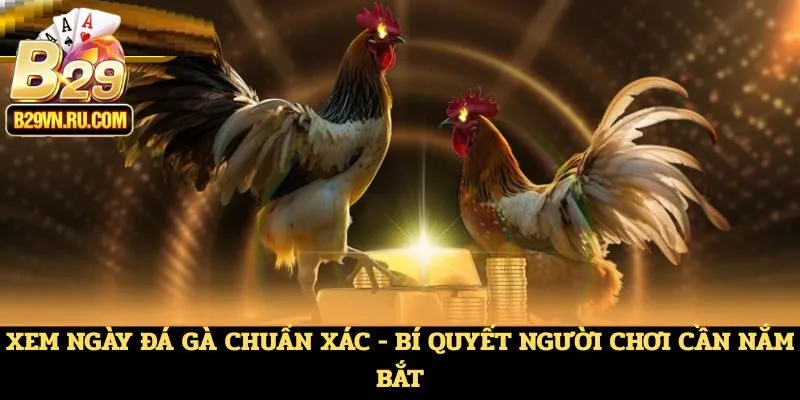 Xem ngày đá gà